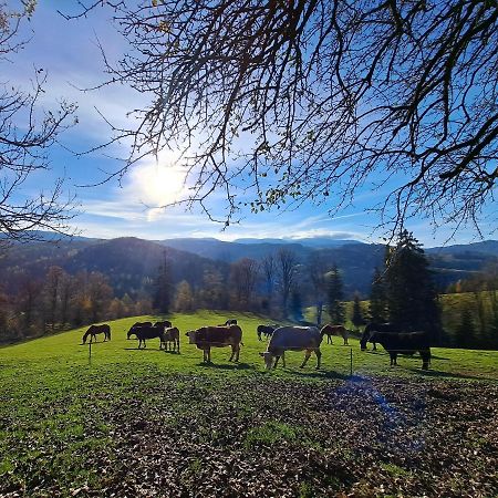 Erlebnisbauernhof Gutschi Ranch Daire Kamp Dış mekan fotoğraf