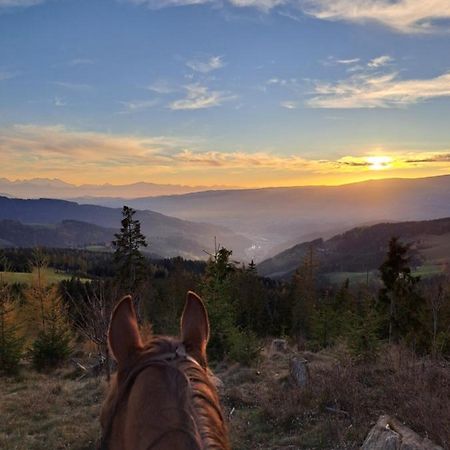 Erlebnisbauernhof Gutschi Ranch Daire Kamp Dış mekan fotoğraf