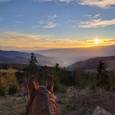 Erlebnisbauernhof Gutschi Ranch Kamp Dış mekan fotoğraf