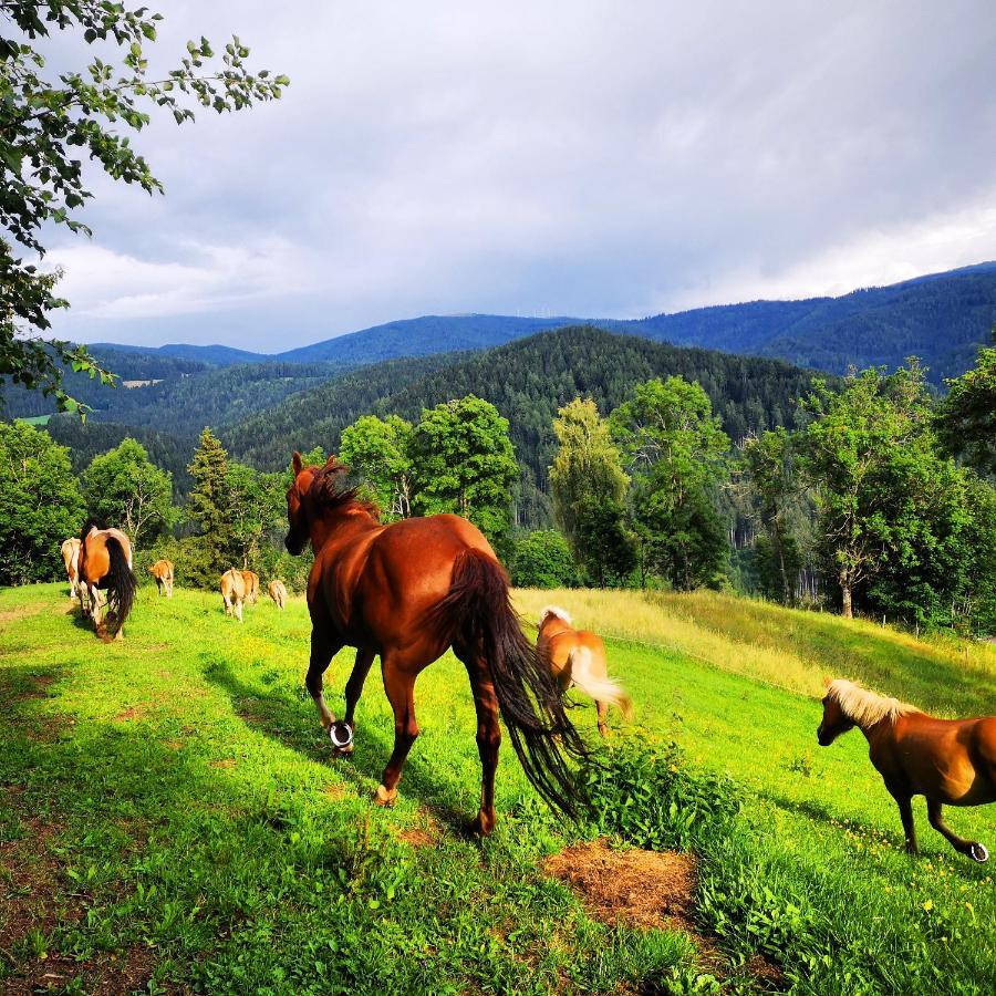 Erlebnisbauernhof Gutschi Ranch Daire Kamp Dış mekan fotoğraf