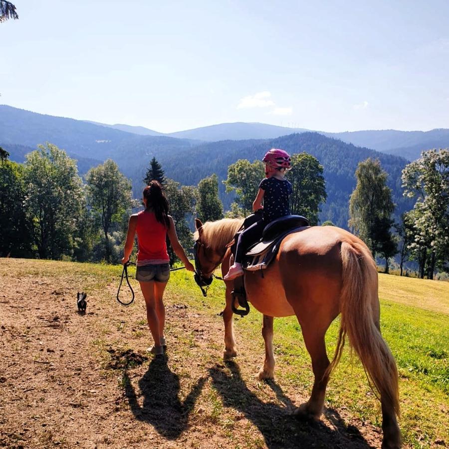 Erlebnisbauernhof Gutschi Ranch Kamp Dış mekan fotoğraf