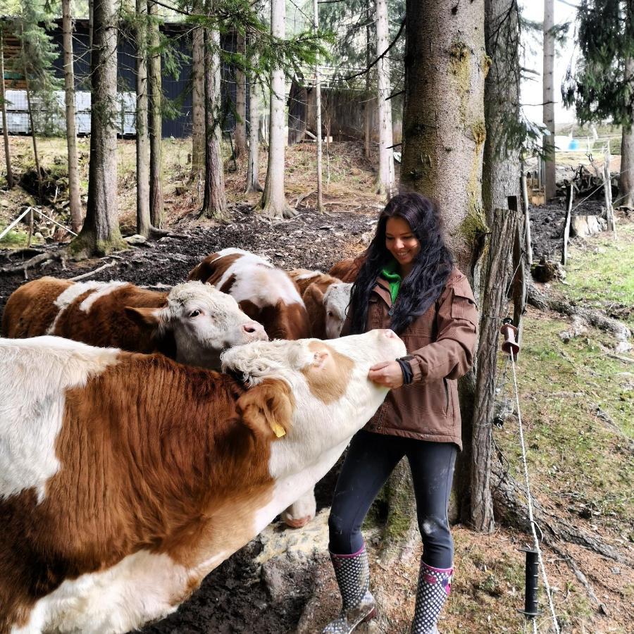 Erlebnisbauernhof Gutschi Ranch Daire Kamp Dış mekan fotoğraf