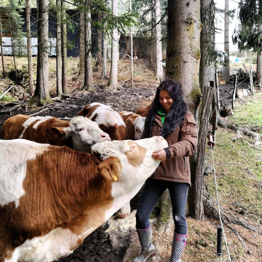 Erlebnisbauernhof Gutschi Ranch Kamp Dış mekan fotoğraf