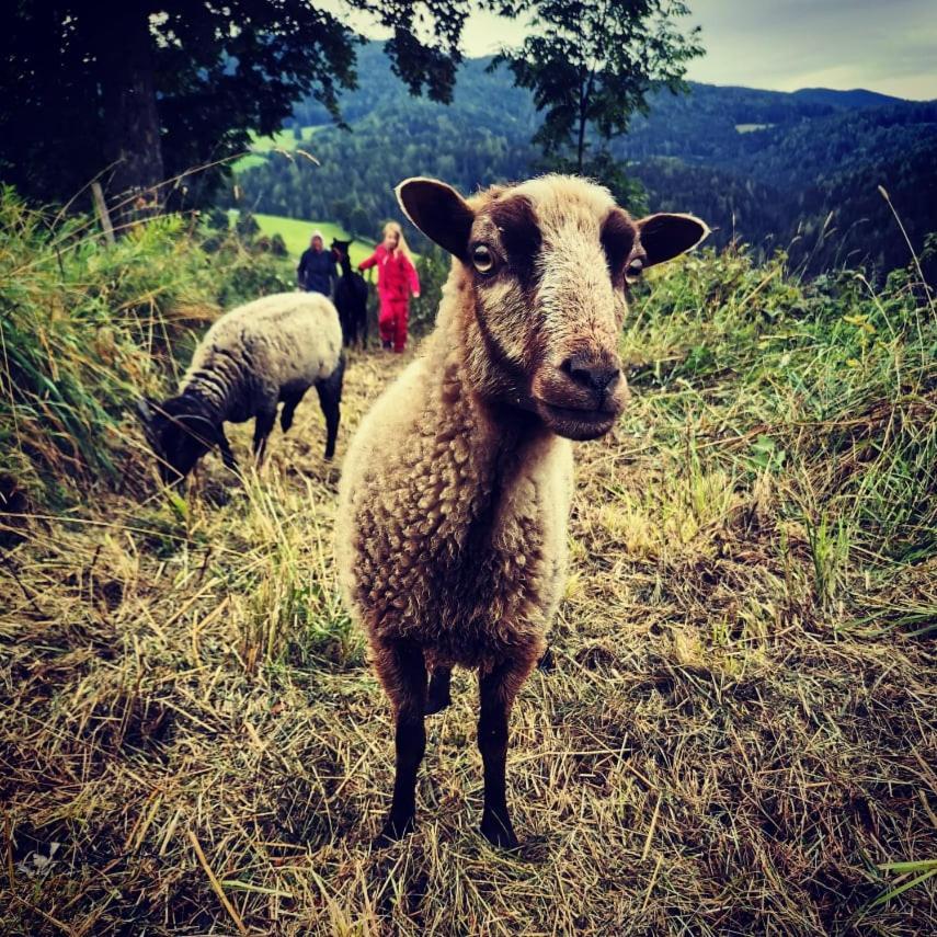 Erlebnisbauernhof Gutschi Ranch Daire Kamp Dış mekan fotoğraf