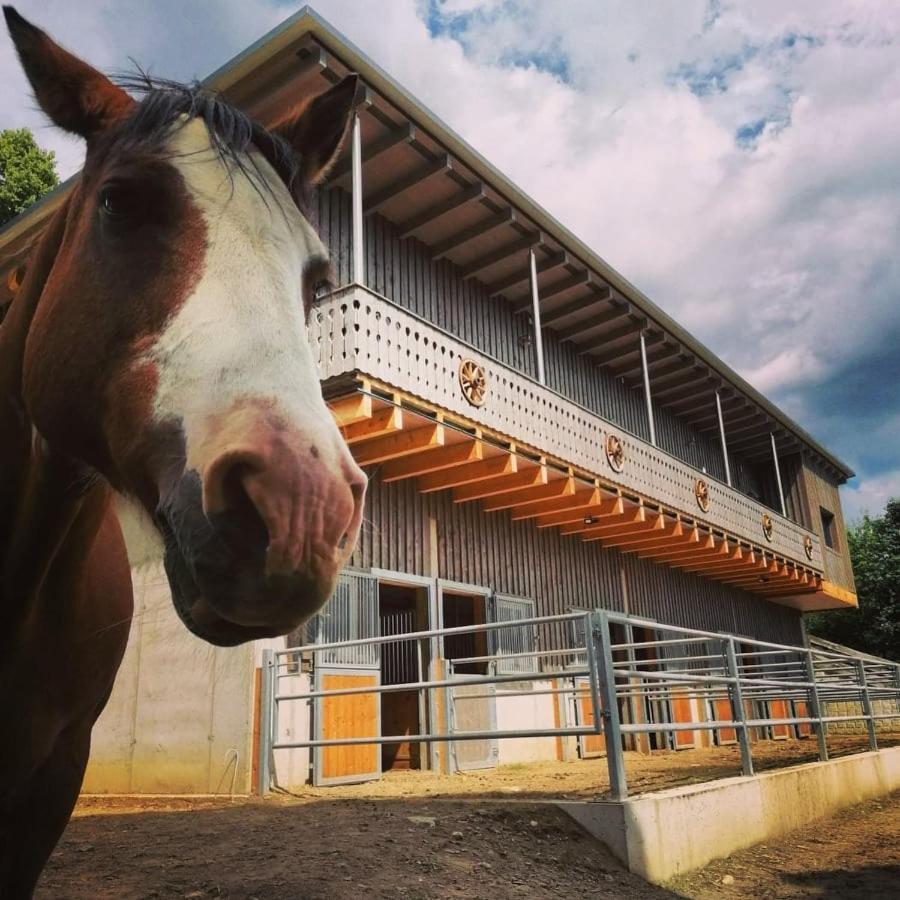 Erlebnisbauernhof Gutschi Ranch Daire Kamp Dış mekan fotoğraf