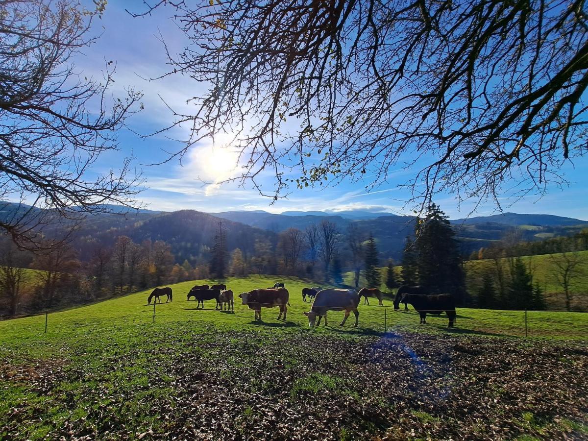 Erlebnisbauernhof Gutschi Ranch Daire Kamp Dış mekan fotoğraf