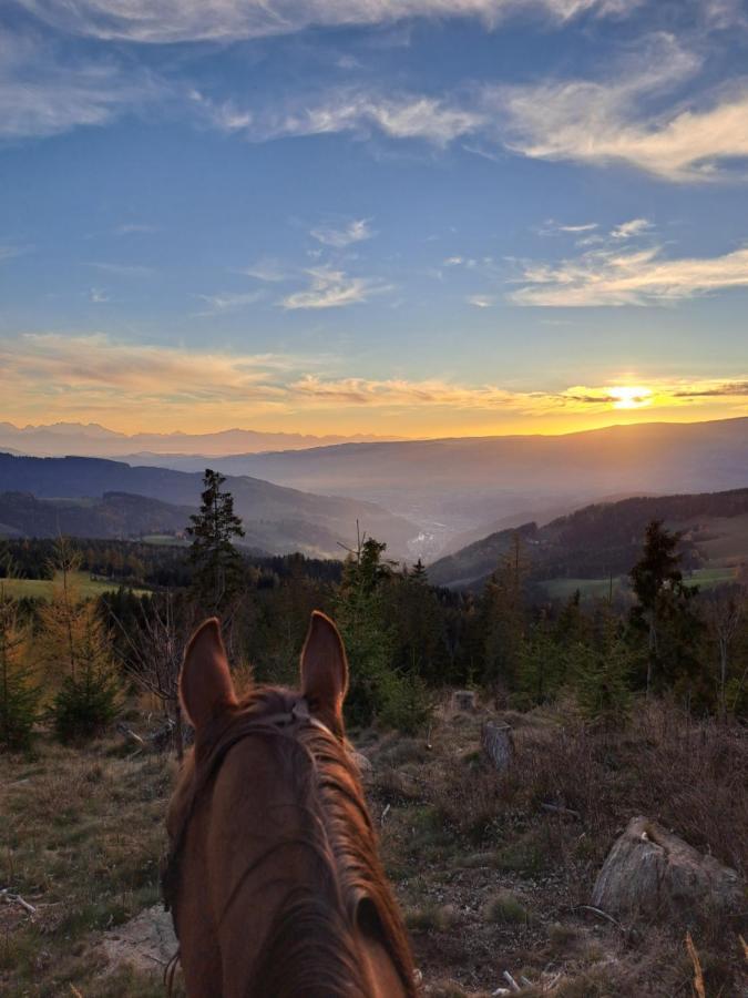 Erlebnisbauernhof Gutschi Ranch Daire Kamp Dış mekan fotoğraf