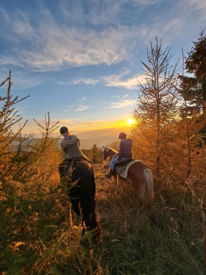 Erlebnisbauernhof Gutschi Ranch Daire Kamp Dış mekan fotoğraf