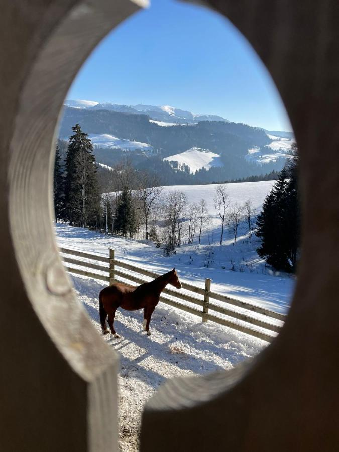 Erlebnisbauernhof Gutschi Ranch Daire Kamp Dış mekan fotoğraf