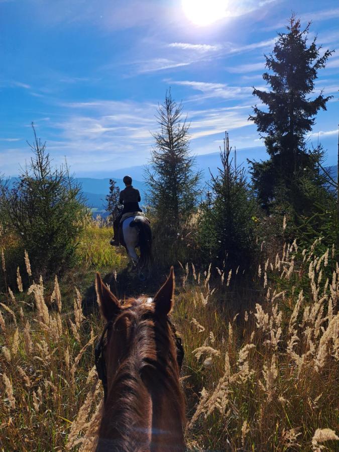 Erlebnisbauernhof Gutschi Ranch Daire Kamp Dış mekan fotoğraf