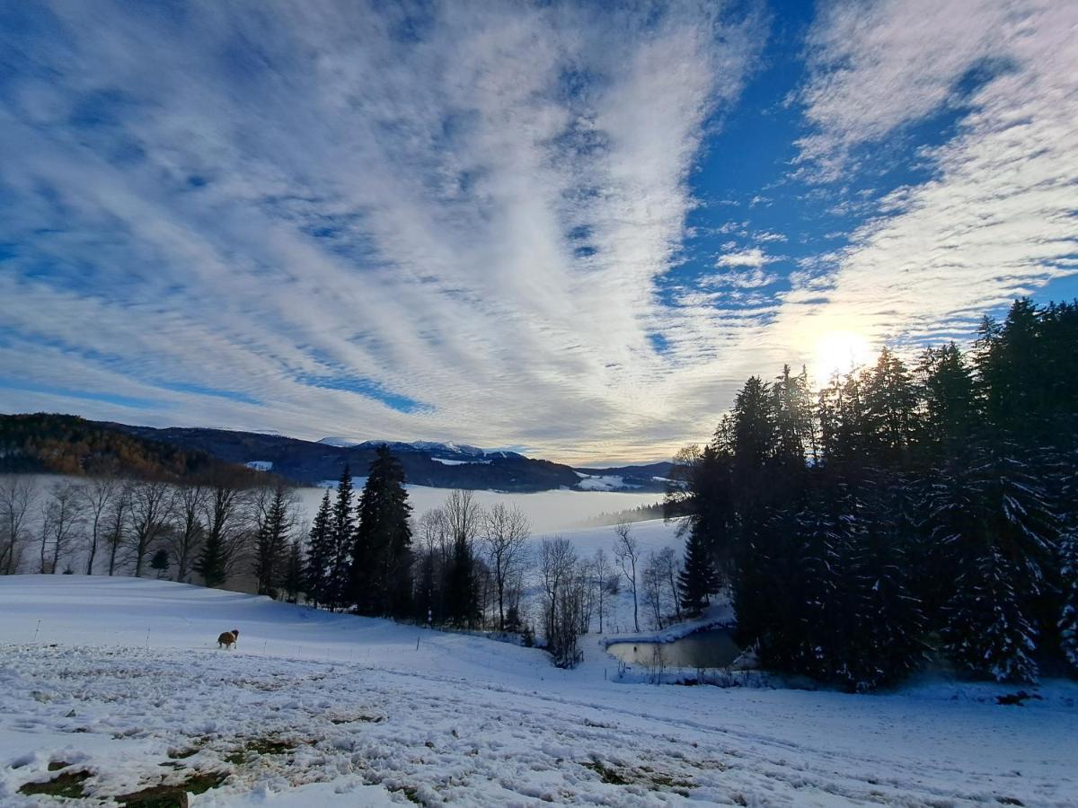 Erlebnisbauernhof Gutschi Ranch Daire Kamp Dış mekan fotoğraf