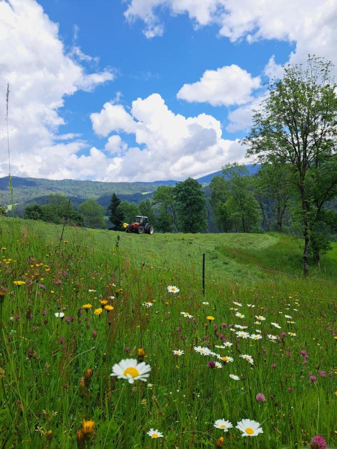 Erlebnisbauernhof Gutschi Ranch Daire Kamp Dış mekan fotoğraf