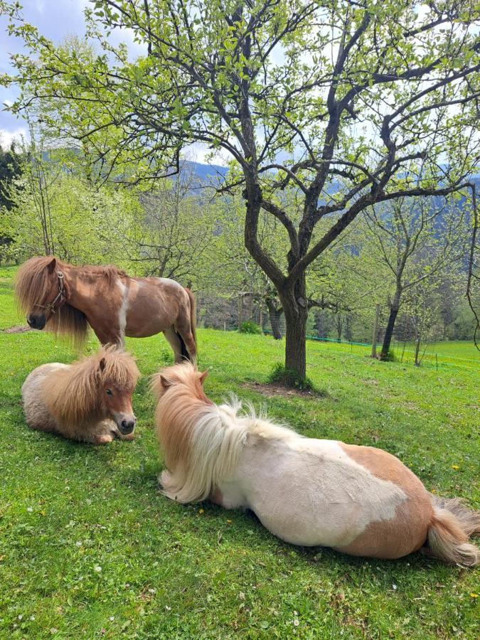 Erlebnisbauernhof Gutschi Ranch Kamp Dış mekan fotoğraf