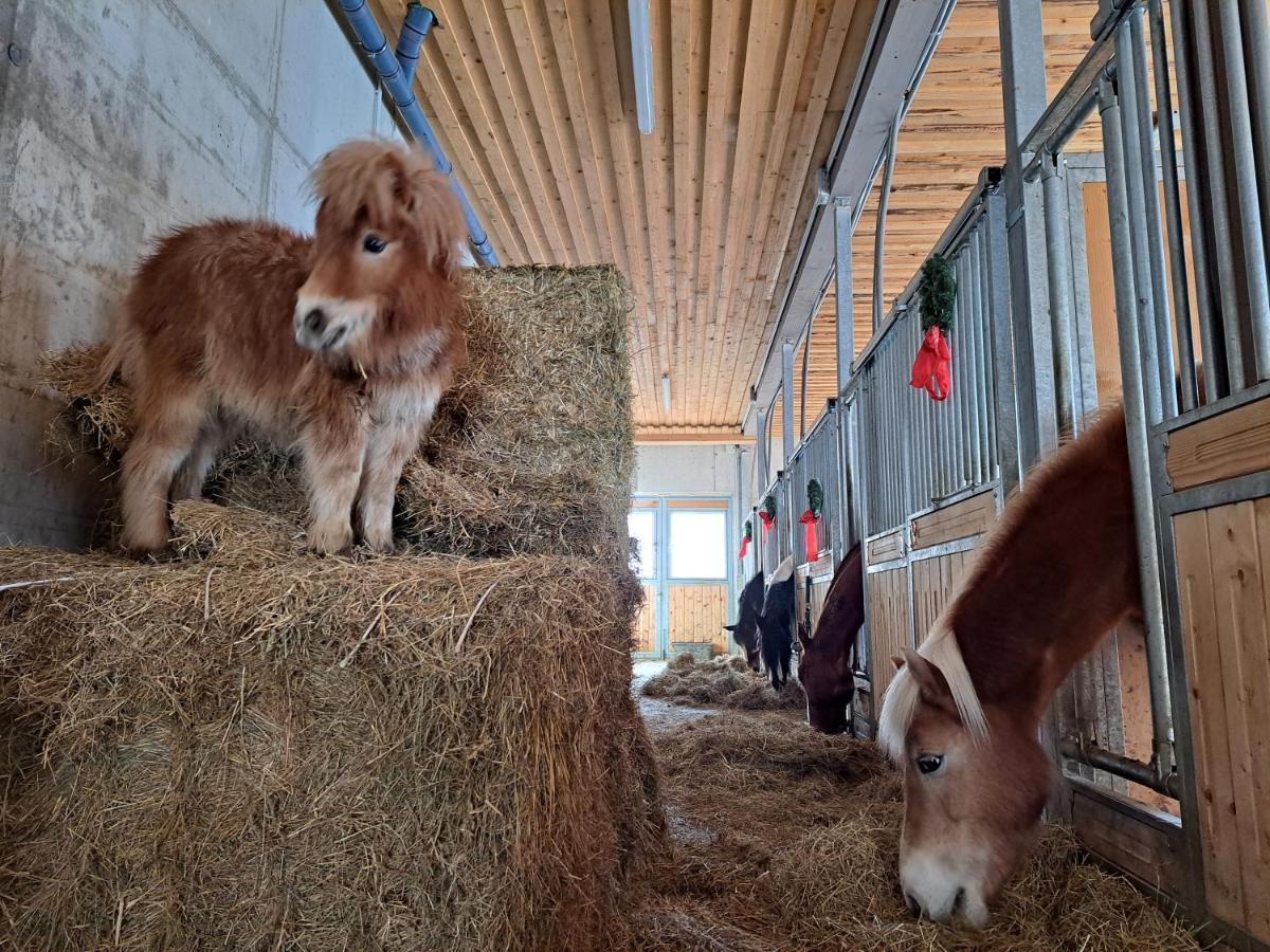 Erlebnisbauernhof Gutschi Ranch Daire Kamp Dış mekan fotoğraf