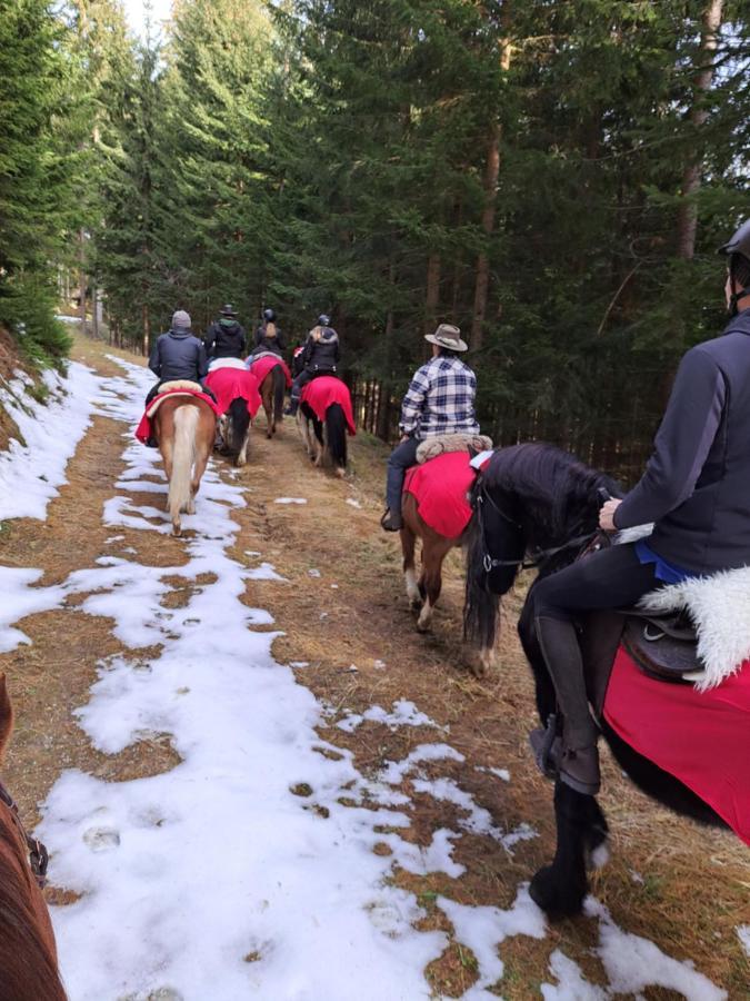 Erlebnisbauernhof Gutschi Ranch Daire Kamp Dış mekan fotoğraf