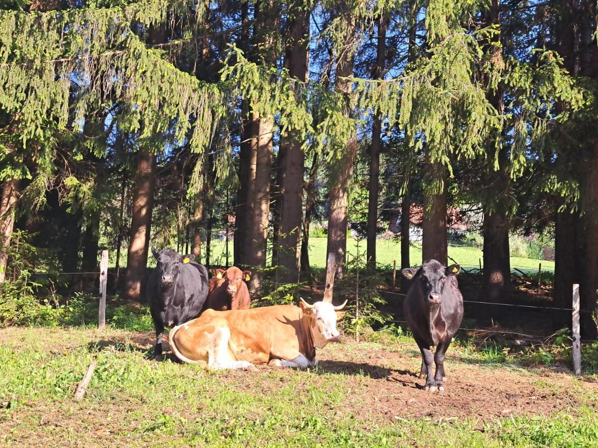 Erlebnisbauernhof Gutschi Ranch Daire Kamp Dış mekan fotoğraf