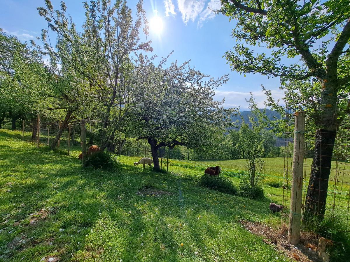 Erlebnisbauernhof Gutschi Ranch Daire Kamp Dış mekan fotoğraf