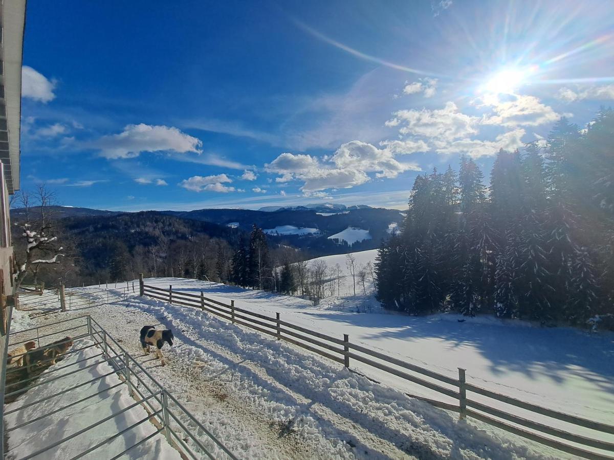 Erlebnisbauernhof Gutschi Ranch Daire Kamp Dış mekan fotoğraf